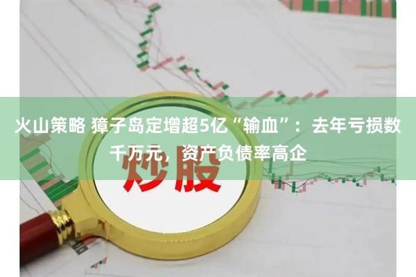火山策略 獐子岛定增超5亿“输血”：去年亏损数千万元，资产负债率高企