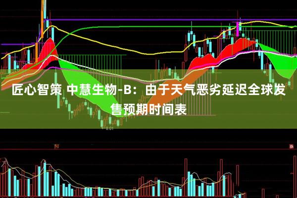匠心智策 中慧生物-B：由于天气恶劣延迟全球发售预期时间表