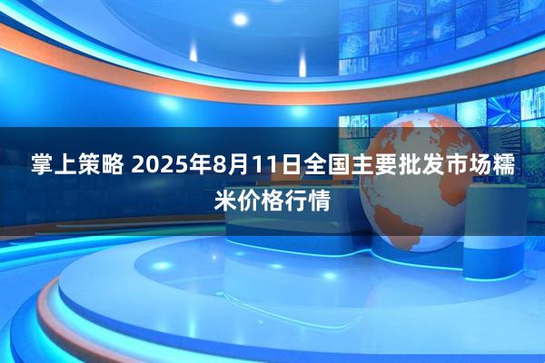 掌上策略 2025年8月11日全国主要批发市场糯米价格行情