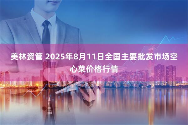 美林资管 2025年8月11日全国主要批发市场空心菜价格行情