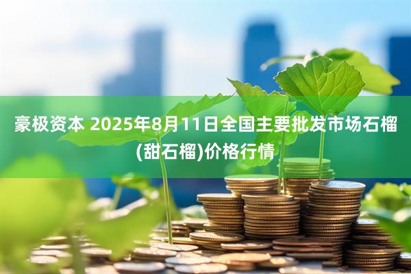 豪极资本 2025年8月11日全国主要批发市场石榴(甜石榴)价格行情