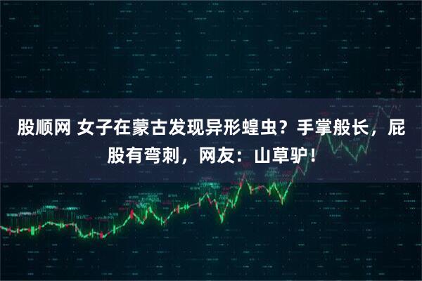 股顺网 女子在蒙古发现异形蝗虫？手掌般长，屁股有弯刺，网友：山草驴！