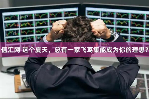 信汇网 这个夏天，总有一家飞茑集能成为你的理想？