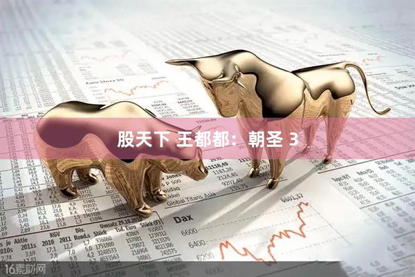 股天下 王都都：朝圣 3