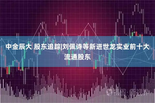 中金辰大 股东追踪|刘佩诗等新进世龙实业前十大流通股东