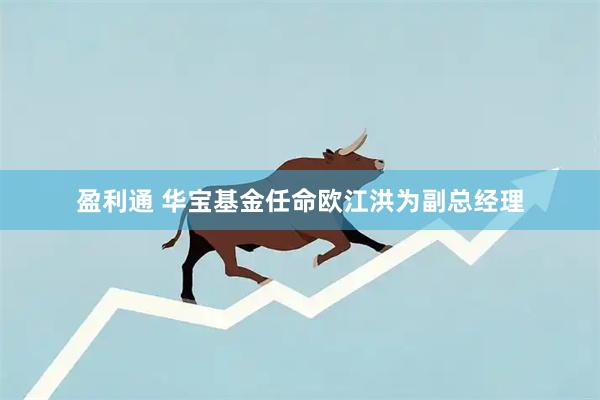 盈利通 华宝基金任命欧江洪为副总经理