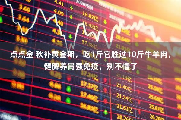 点点金 秋补黄金期，吃1斤它胜过10斤牛羊肉，健脾养胃强免疫，别不懂了
