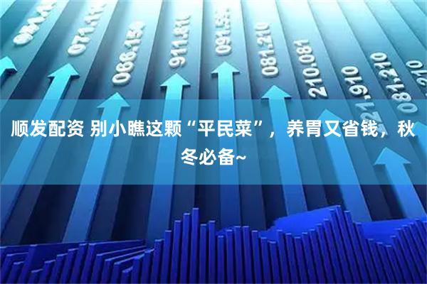 顺发配资 别小瞧这颗“平民菜”，养胃又省钱，秋冬必备~